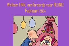 Feb 2024 - Finn, broertje van Feline op bezoek!
